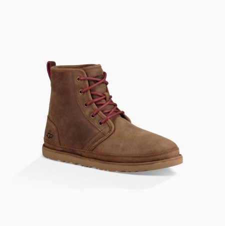 UGG Harkley Weather Brown Lace-up Boots for Men (BYMP03248)